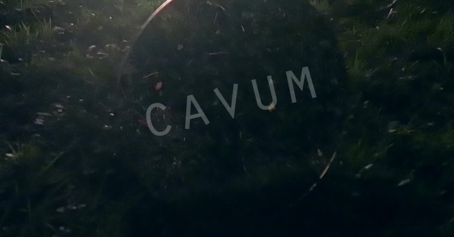 Cavum